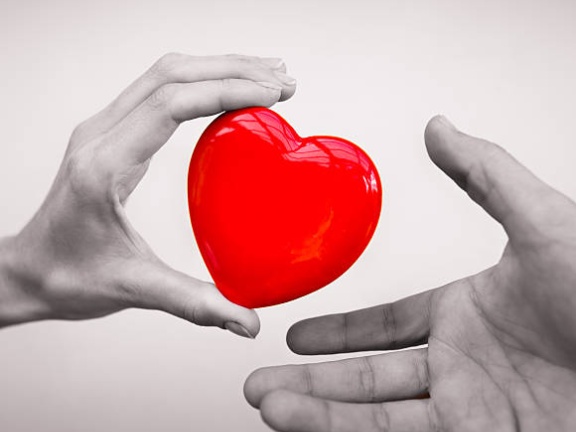 Come donare organi, tessuti, cellule